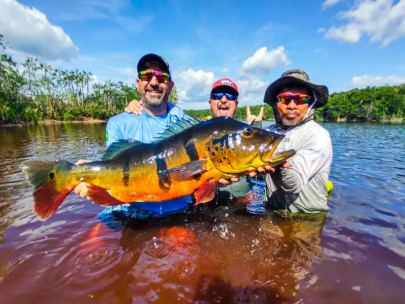 Three anglers sharing a huge peacock bass