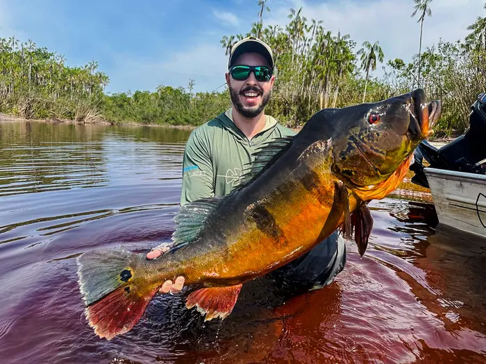 An angler kneeling in the black water with a peacock bass