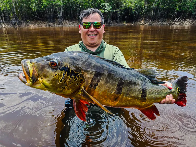 A smiling angler lifting a big peacock bass